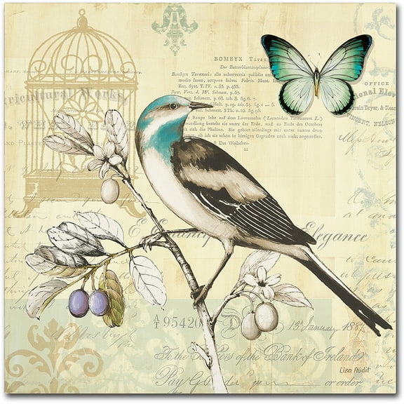 Trademark Fine Art "Freedom II" Canvas Art by Lisa Audit