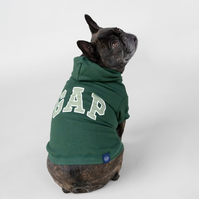 Gap Pet Dog and Cat Clothes Classic Gap Logo Pet Hoodie Green Medium Walmart