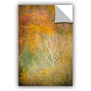 ArtWall Antonio Raggio ' In Autumn ' Art Appealz Removable Wall Art
