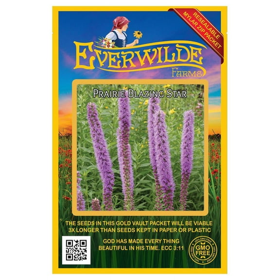 Everwilde Farms - 300 Prairie Blazing Star Native Wildflower Seeds - Gold Vault Jumbo Bulk Seed Packet