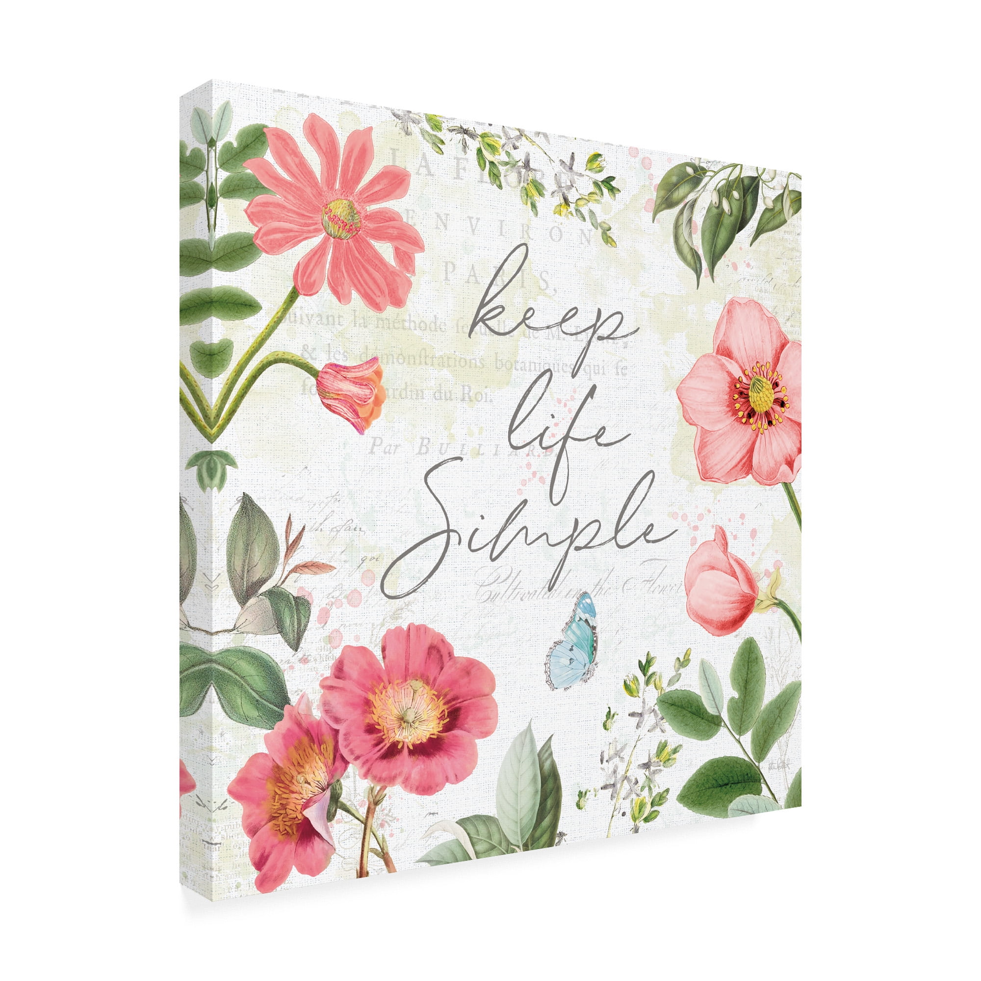 Trademark Fine Art 'Studio Botanicals IV' Canvas Art by Katie Pertiet
