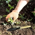 thumbnail image 5 of Cucharas de acero inoxidable para jardinería, palas para trasplantar, cavar y plantar, 5 of 5