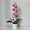 U, variant on A potted Phalaenopsis potted plant and 7 spring and summer simulated orchid potted plants, suitable for holiday decorations, home weddings, and Valentine's Day shooting props, no batteries required