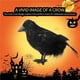 thumbnail image 3 of Inteprter Cuervos negros de Halloween, utilería Artificial, simulación de pájaros, juguetes de animales, modelos, decoraciones, señuelo de Kits de decoración para fiestas, 3 of 6