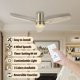 thumbnail image 2 of Vagizm Ventilador de Techo Empotrado de 42 Pulgadas con Luz - Ventilador de Techo Moderno de 3 Aspas para Sala de Estar y Recámara - Motor CC Silencioso - Función Reversible - Tono Madera Clara, 2 of 7