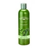 Nature's Gate Organics Shampoo, Tea Tree And Blue Cypress, 12 Fl Oz