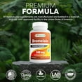 thumbnail image 5 of Best Naturals Bromelain Proteolytic Digestive Enzymes Supplements, 120 Tablets - Supports Healthy Digestion, Joint Health, Nutrient Absorption, 5 of 8