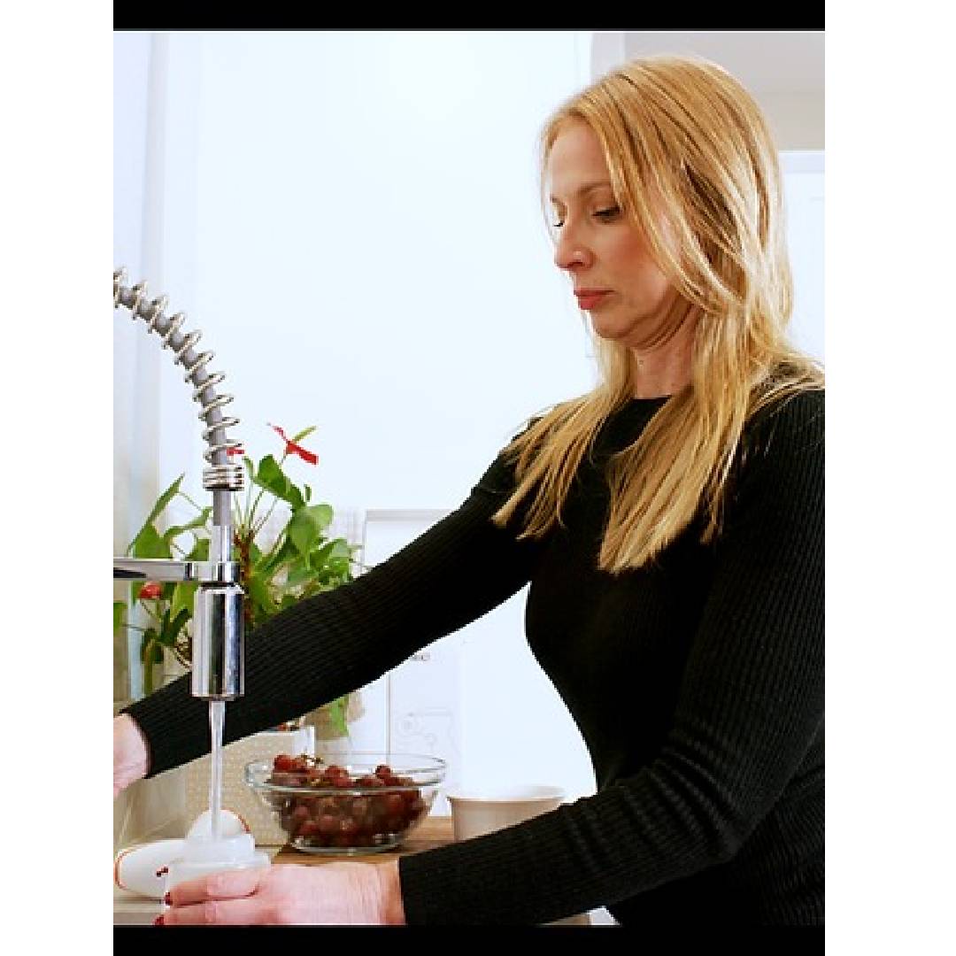 Rechargeable Spot Spray | Aqueous-Ozone Cleaning System | Chemical