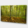 thumbnail image 2 of Panorama de Forêt Automnale Verte - Impression d'Art sur Toile Paysage, 2 of 3