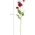 thumbnail image 3 of flores artificiales de seda Ranunculus persa adecuadas para decoraciones centrales, bodas, hogares, decoraciones artísticas y accesorios, 3 of 7