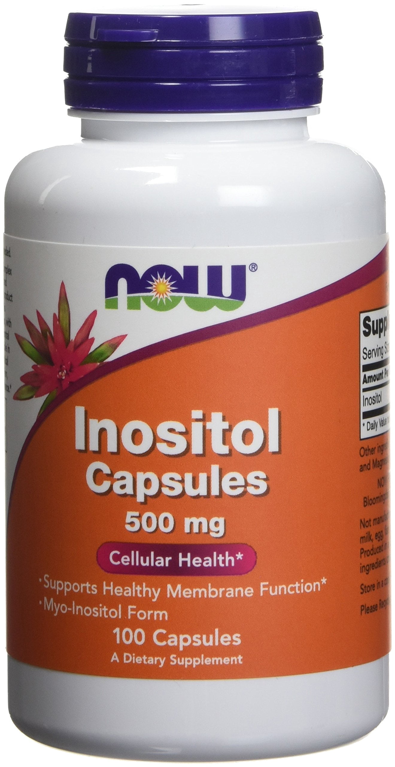 Now Foods, L-Glutamine, 500 mg, 120 Capsules, 2 Pack