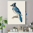 thumbnail image 4 of Blue Jay Wall Canvas Print, Wall Decor for Living Room Bedroom Office Hallway Dining Room Kitchen Home Decor, 4 of 8