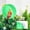 Green, variant on Aquarium Decorations Fish Tank Tunnel With Suction Cups for Underwater Scenery and Fish Play Hideout