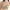 Khaki, variant on Yuzhih Push up Bras for Women Wireless Bra Soft Seamless Comfortable Wire Free Bralette with Support