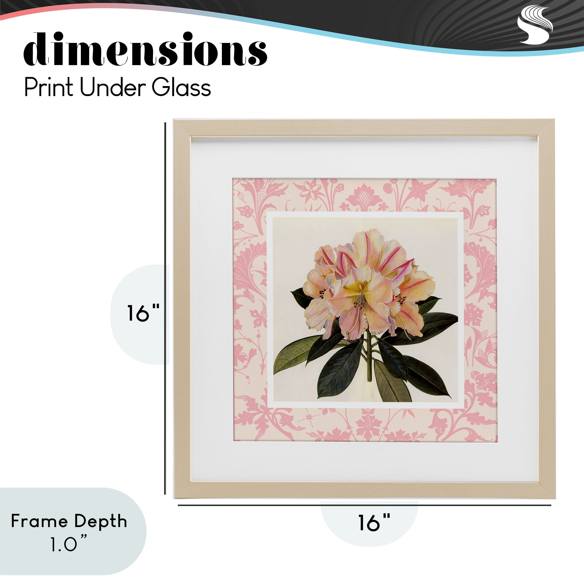 Stupell Industries Pink Vintage Pattern Botanical Birch Framed Print Under Glass, design by Livi Finn
