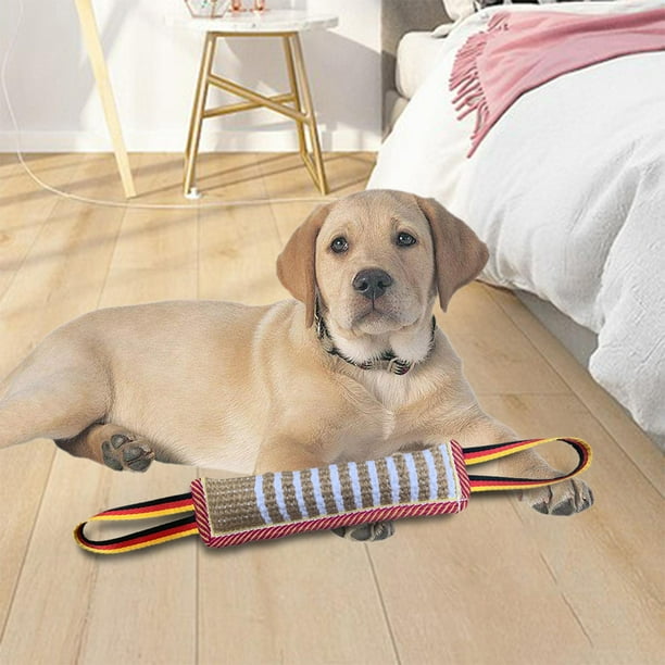 Dog top bite tug