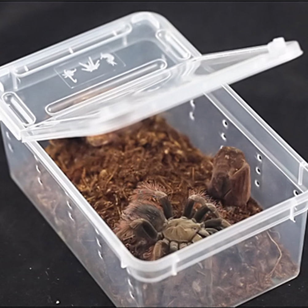 Transparent Plastic Plastic Box Insect Reptile Transport Breeding Feeding 