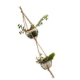 thumbnail image 4 of pitrice Flower Pot Holder Hanging Rope Hand-Weaved Plants Hanging Basket Net Bag Bohe Garden Supply Plants Hanger, 4 of 7