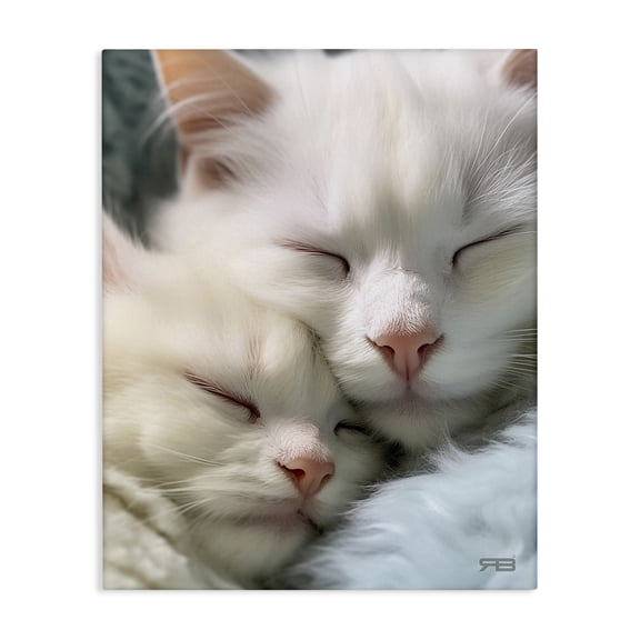 Stupell Industries Farmhouse Cuddling White Cats Canvas Art, 16 x 20, by RB