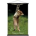 thumbnail image 1 of Famous Kitten Hang In There Poster Wall Poster, 22.375" x 34", 1 of 5
