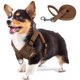 thumbnail image 1 of Arnés para perros Tejido de gamuza suave al tacto Chaleco para mascotas Arnés reflectante ajustable sin tirones para cachorros, perros pequeños y medianos Adepaton LRWJ046-13, 1 of 8