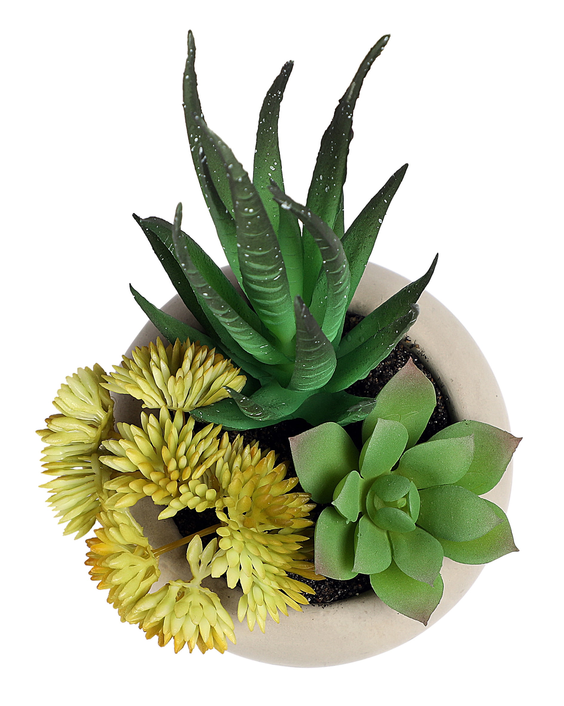 Mainstays 5.5" Artificial Succulent Plant in Cement Pot, Green and Yellow Color