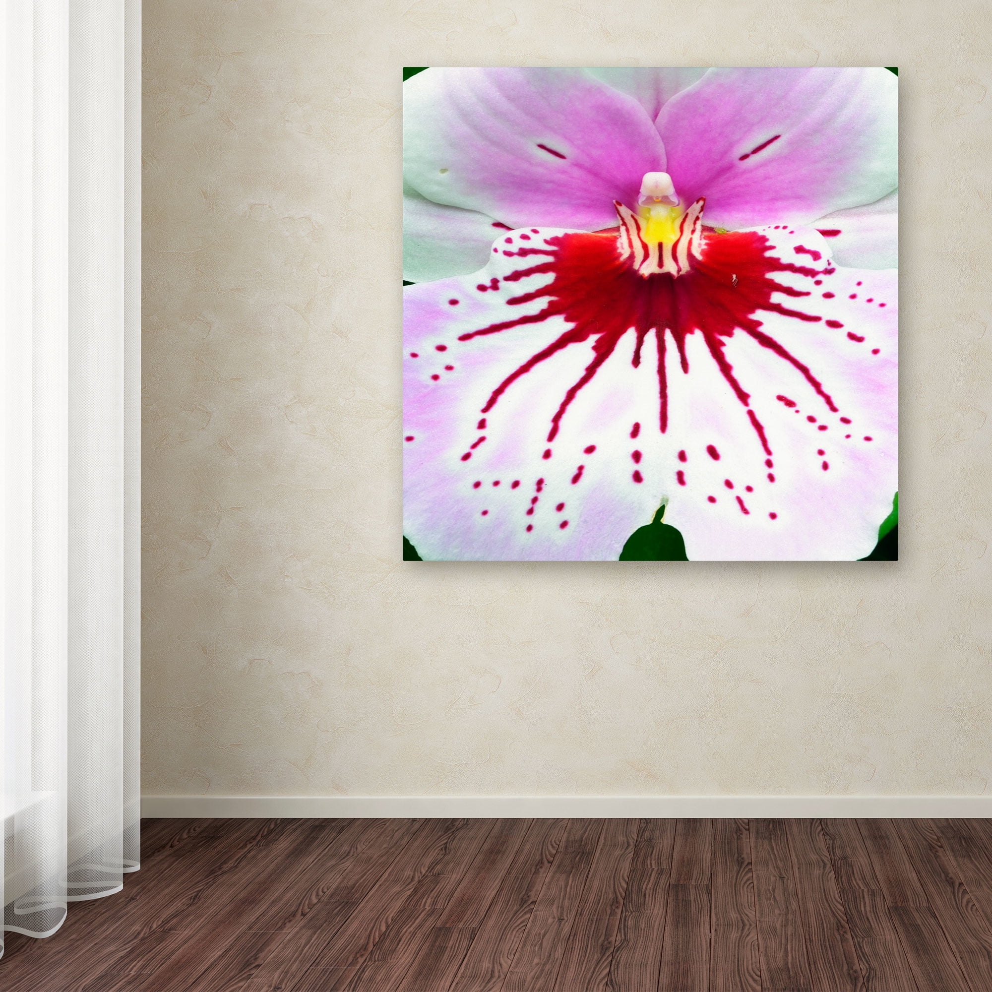 Trademark Fine Art "Mother Natures Imagination Orchid" Canvas Art by Kurt Shaffer
