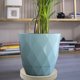 thumbnail image 4 of VERDANVERSE Soporte Para Plantas Con Con De Para Protección Y Fácil Traslado, 4 of 8