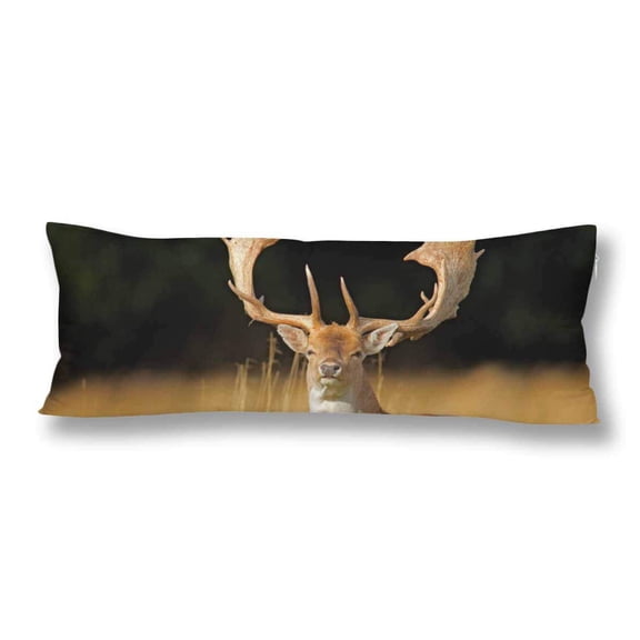ABPHOTO Powerful Adult Fallow Deer DAMA Fall Autumn Forest Pillow Covers Pillowcase 20x60 inch Body Pillow Case Protector