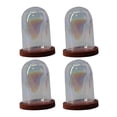 thumbnail image 2 of GUOOL Cloche en Verre Transparent Dôme Fleur Support Micro Paysage Miniature Maison DIY Rouge Nacré, 2 of 9