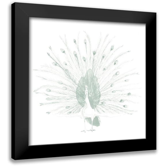 Popp, Grace 12x12 Black Modern Framed Museum Art Print Titled - Sage Peacock II