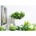 thumbnail image 5 of Mini Potted Artificial Plants Plastic Fake Green Plant for Home Decor Office Desk Shower Room Decoration Faux Plants Indoor (White, Set of 2), 5 of 5
