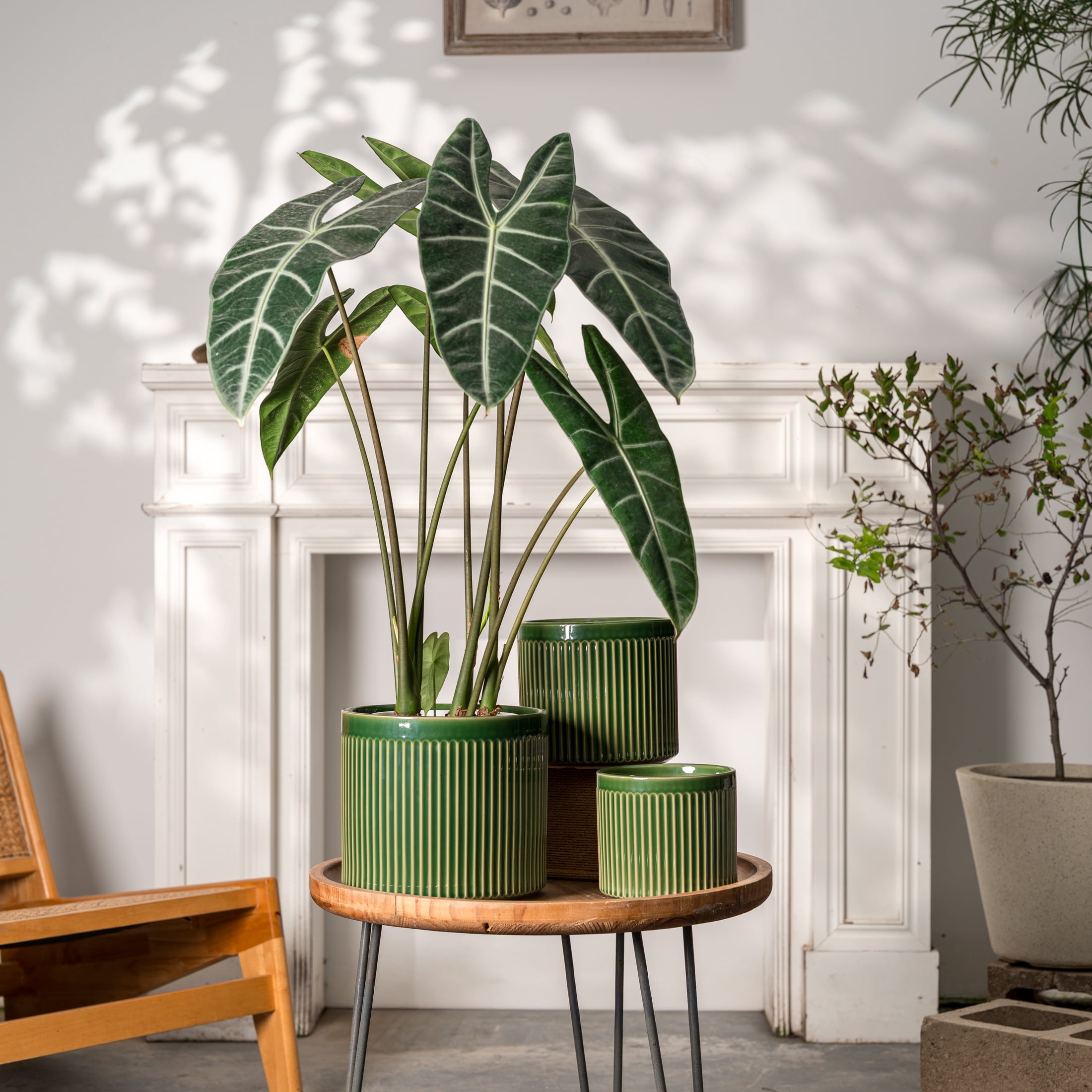 UMIAMOY Modern Cylinder Set of 3 Ceramic Flower Pots,5.7+7.0+8.6 inch Plant Pots with Drainage Holes and Saucer,Indoor Outdoor Planters for Home Patio Garden Decoration