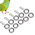 thumbnail image 3 of 10Pcs Bird Parrots, Outdoor Fly Training Activity Jewelry Box Latch Leg Ring Swings Small Chest Latches Opening Clip Accessories 6, 3 of 7