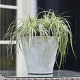 thumbnail image 2 of Root & Vessel Napa Round Planter, Gray, 8", 2 of 3