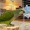thumbnail image 5 of ONFD Interactive Parrot Stress Relieving A Bird For Intellectual Stimulation And Boredom, 5 of 5
