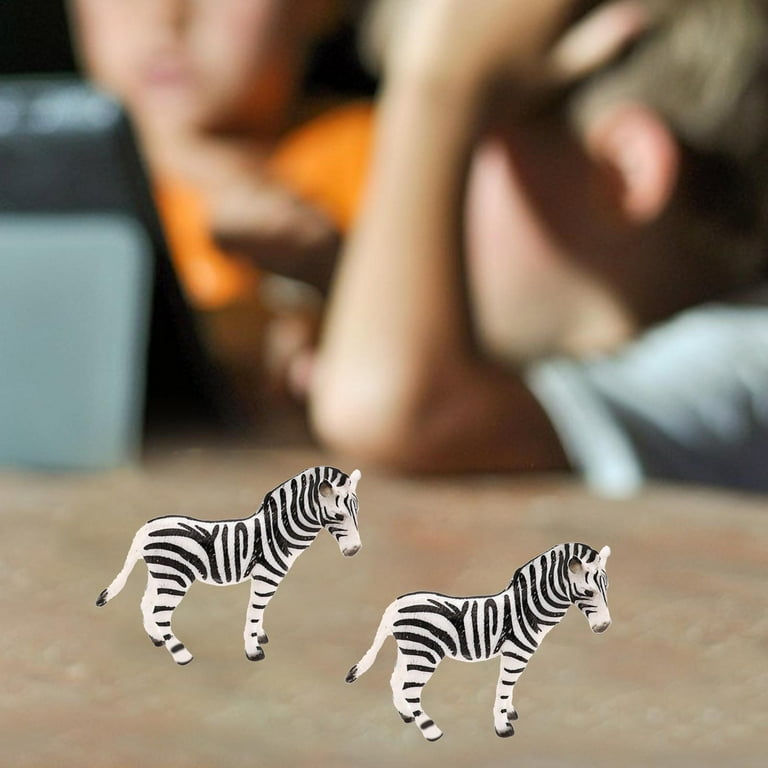 Zebra 2024 home accessories