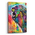 thumbnail image 2 of Epic Art 'South African Lion' by Dean Russo, Acrylic Glass Wall Art, 12"x16", 2 of 8
