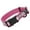 Passionfruit Pink, variant on Biothane Reflective Dog Collar with Quick Release Buckle