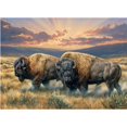 thumbnail image 2 of Cobble Hill - Dusty Plains (1000-Piece Puzzle), 2 of 3