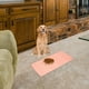 thumbnail image 4 of KAKOWELY Tapete de silicona para comida de gatos y perros, tapete antideslizante para comedero de perros y gatos, mantel individual para mascotas, 4 of 5