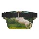 thumbnail image 3 of Easygdp Horse Rearing Up In The Field Fanny Packs para Mujeres y Hombres, Bolsa de Cinturón, Bolsos de Cruz para Trabajo/Correr/Senderismo, 3 of 9
