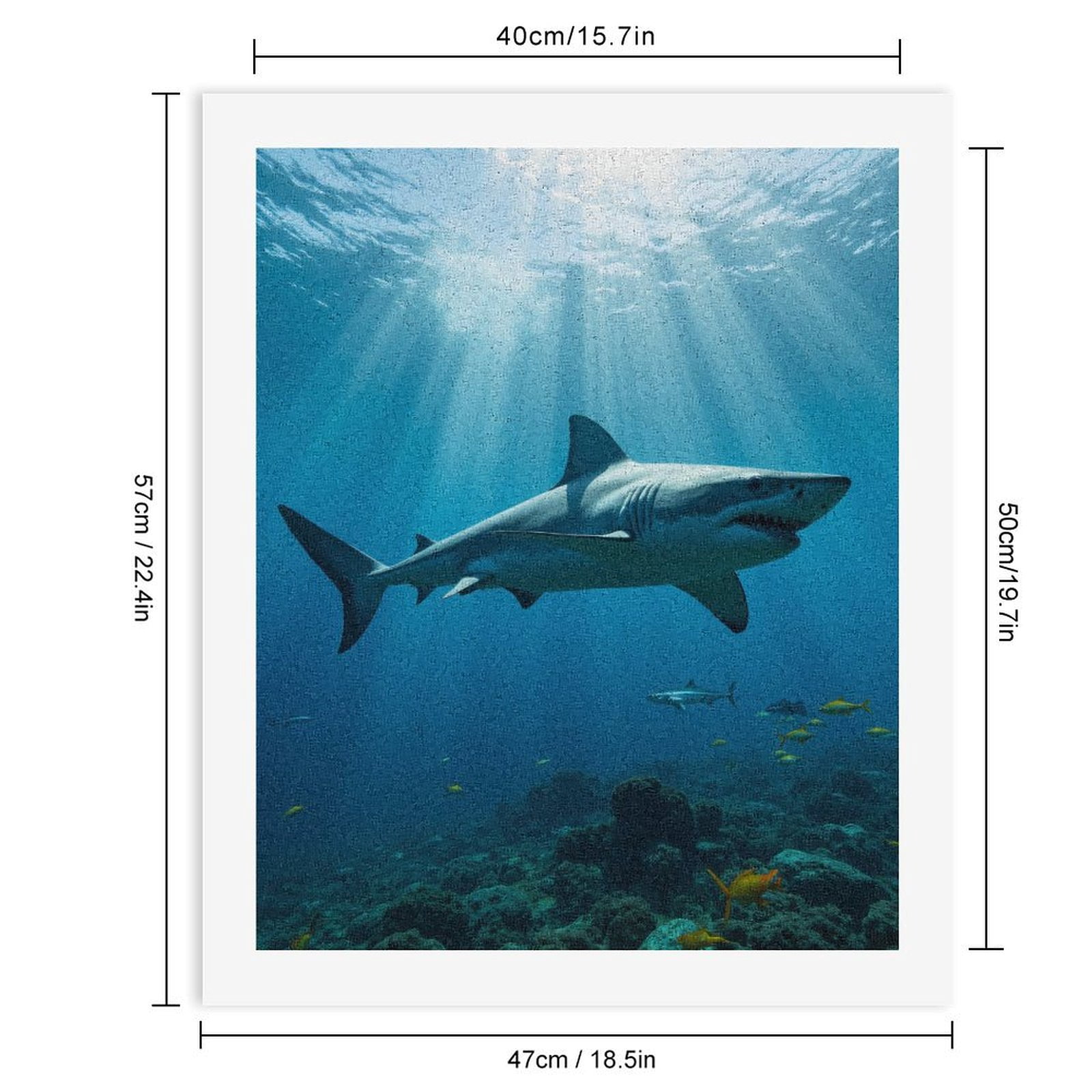 Paint by Numbers Kit for Adults, Great White Shark Ocean Scene Paint by Numbers, Easy Paint by Numbers Kit for Adults Beginner, DIY Adult Paint by Number Kits on Canvas, 12x16in Home Decor