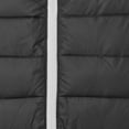 thumbnail image 4 of 2786 Mens Traverse Padded Vest, 4 of 4