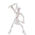 thumbnail image 2 of Mskk Multi-Color Movable Joint Skeleton Mini Figurine, 5.3" Posable Plastic Skeleton Action Figure Halloween Decor for Table, Haunted House Decor, 2 of 6