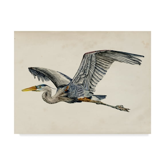 Trademark Fine Art 'Blue Heron Rendering III' Canvas Art by Melissa Wang