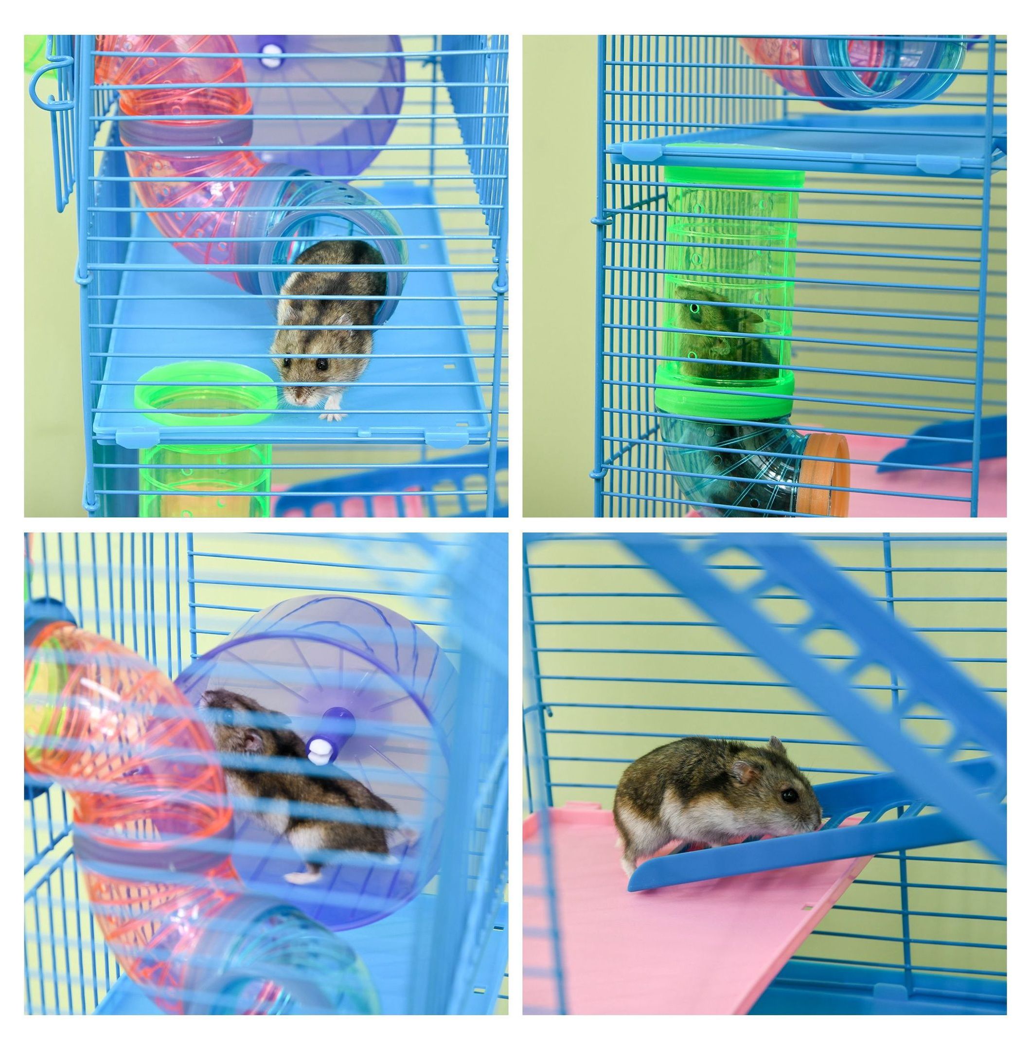 Hamster Cage 5-Tier Extra Large, Small Animal House with Wheel & Tubes, Blue