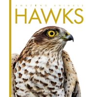 Amazing Animals: Hawks