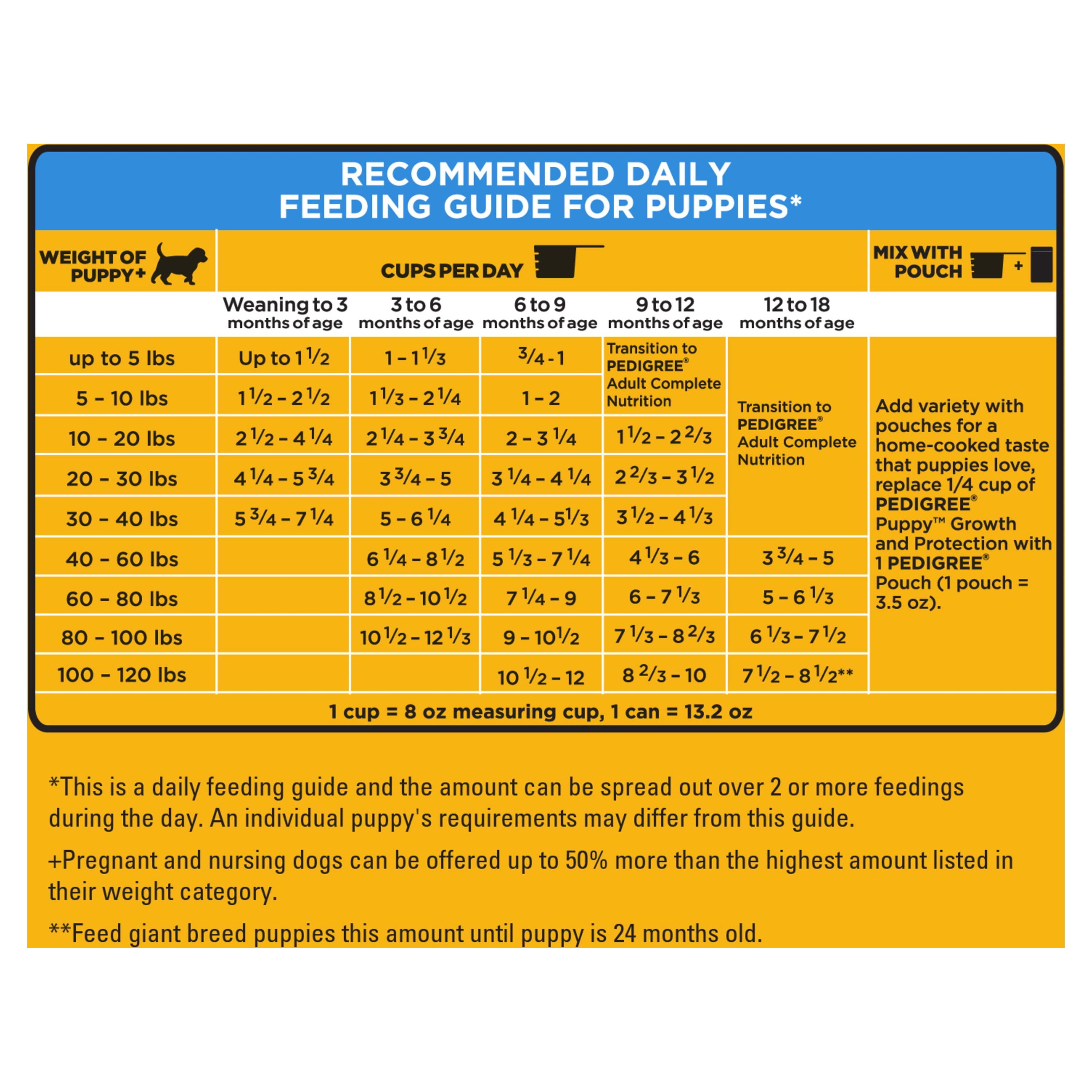 Puppy Feeding Schedule by Age, Chart + 11 Feeding Tips