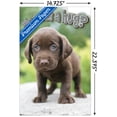 thumbnail image 2 of Keith Kimberlin - Puppy - Who Needs a Hug? Wall Poster, 14.725" x 22.375", 2 of 5